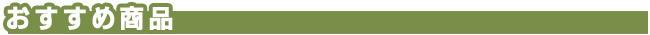 おすすめ商品